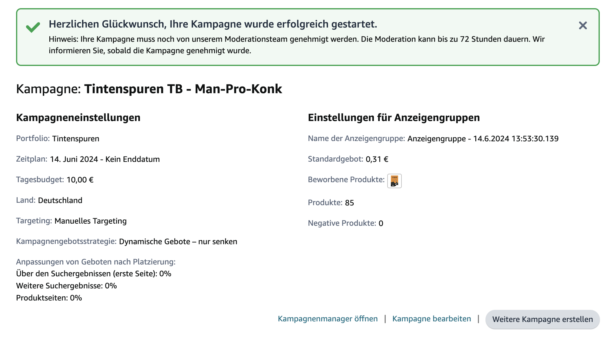 Screenshot der Zusammenfassung der Kampagne nach erfolgreichem Start