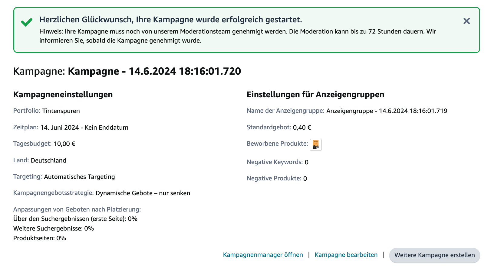 Screenshot der Zusammenfassung der Kampagne nach erfolgreichem Start