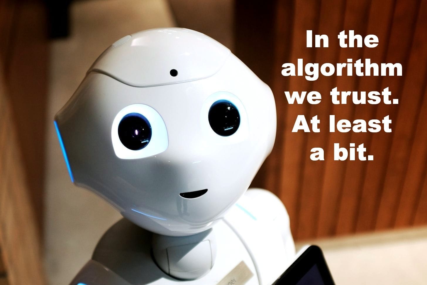 Amazon Ads: Mit automatischen Kampagnen für dein Buch werben