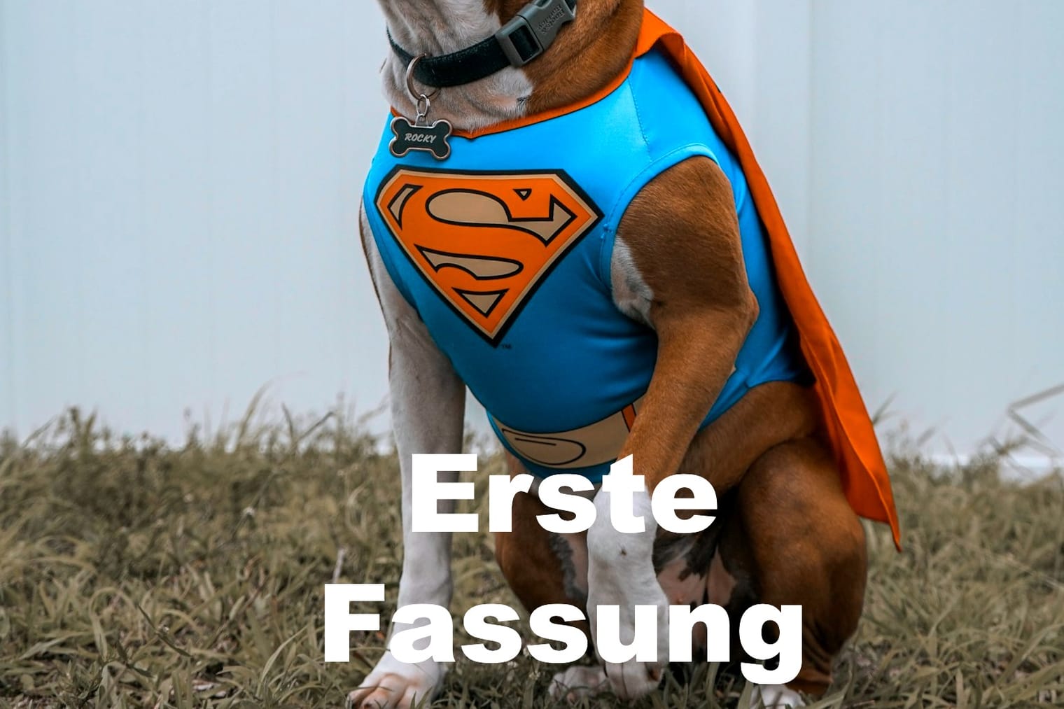 The Mystical Beasts of Westminster