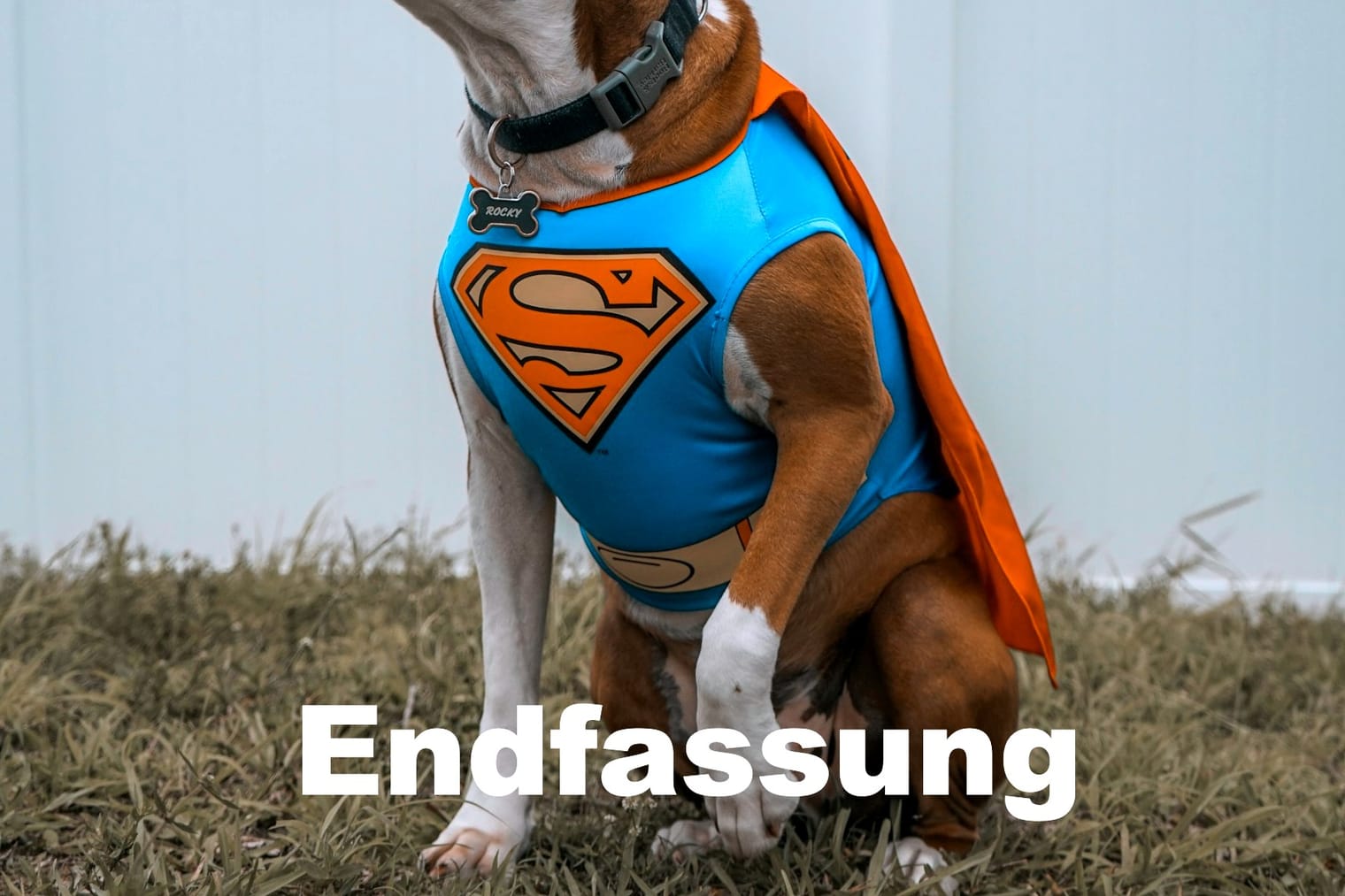 The Marvelous Misfits of Westminster