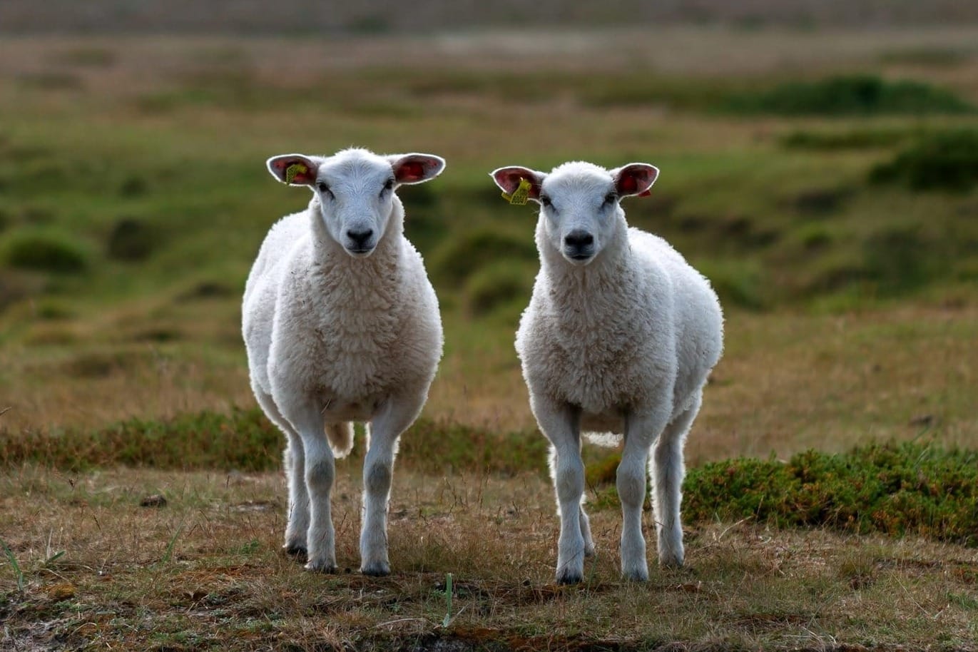 Erzähl’s noch einmal!