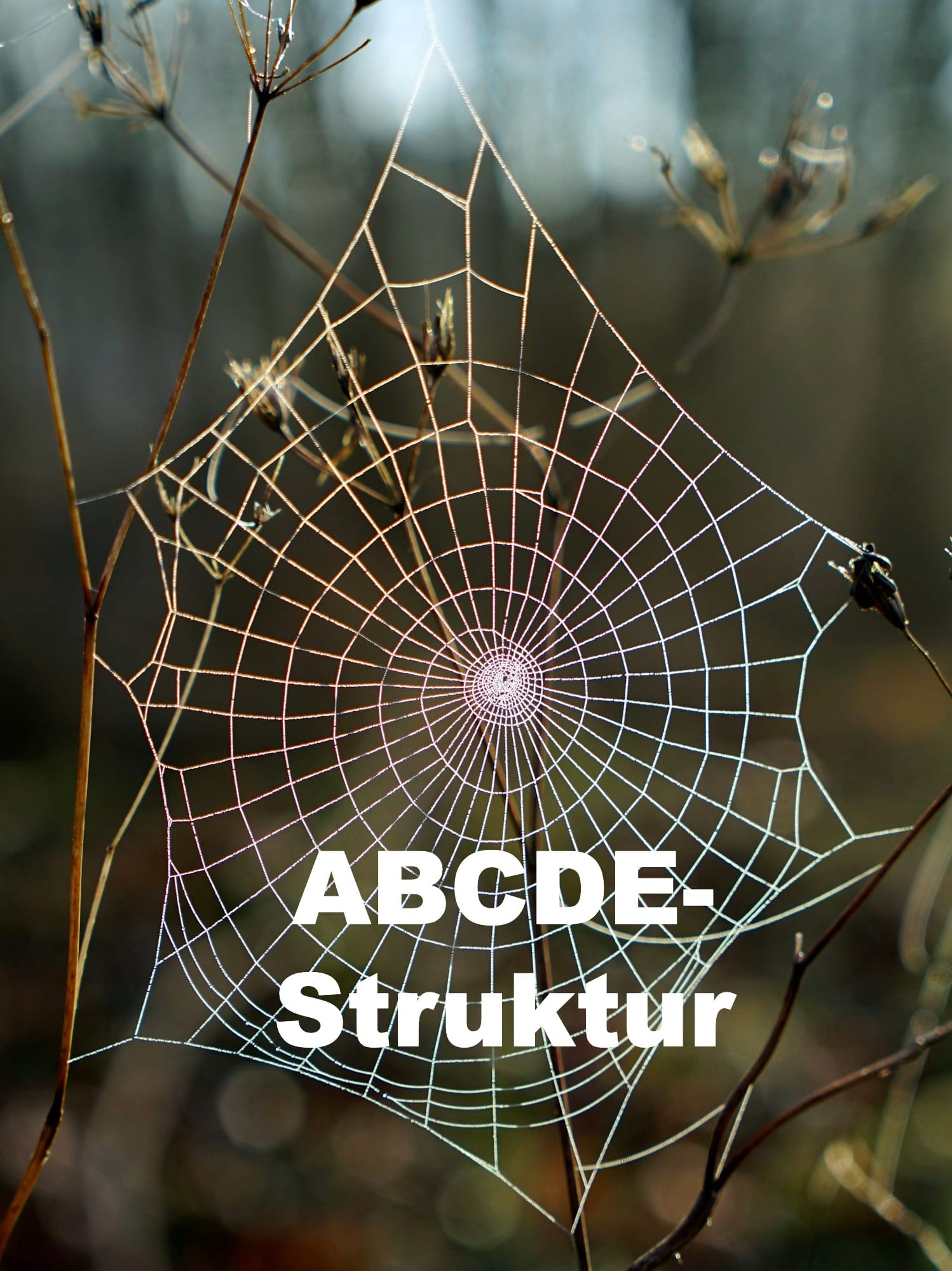 Plot entwerfen – Teil 2